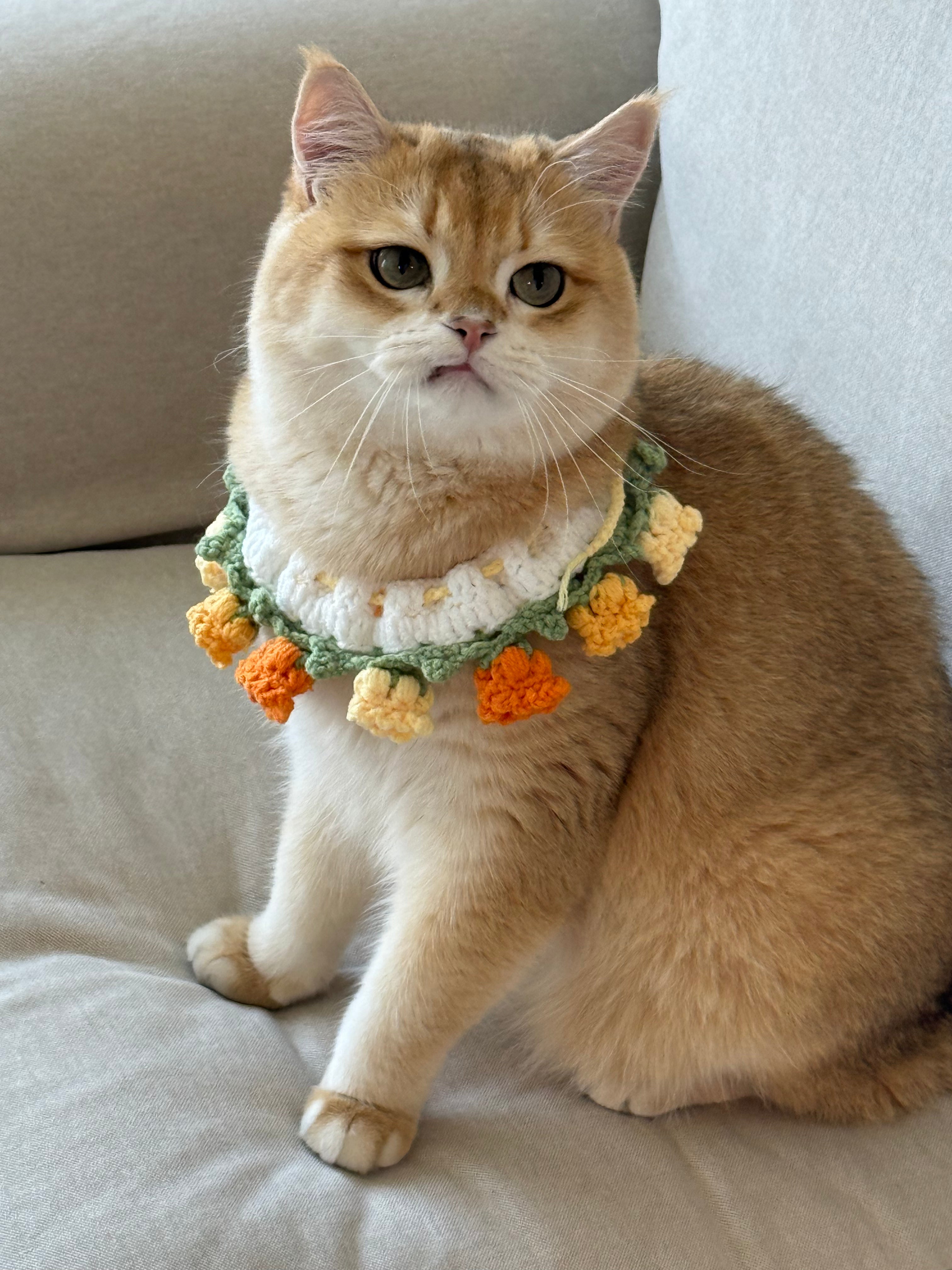 cute cat bandana(also works for Jellycat)