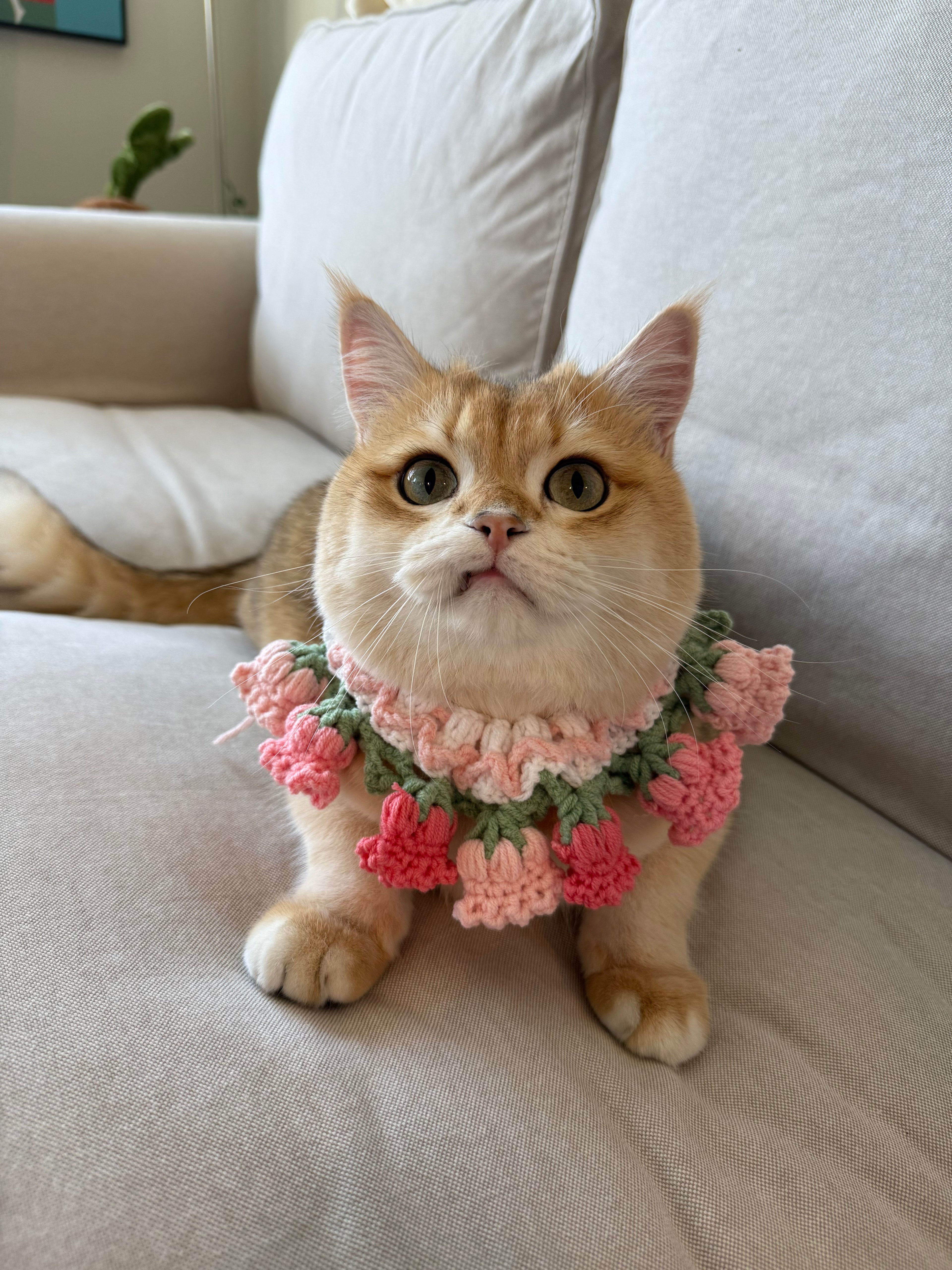 Pet scarf accessory