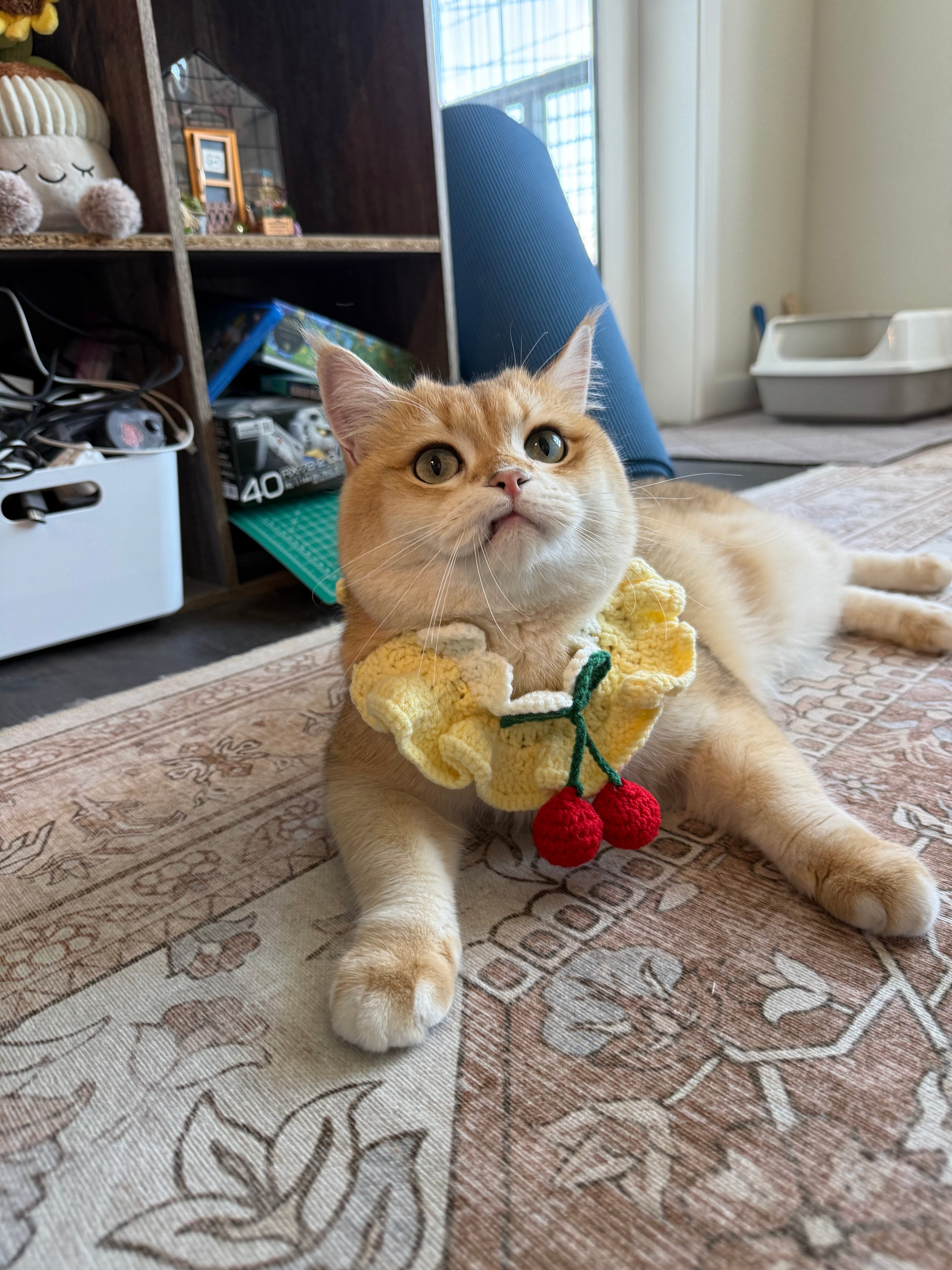 Cute mini scarf for Kitty